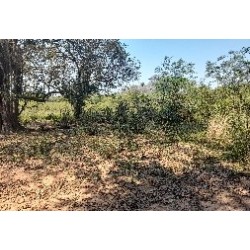 Barrio Tobati Tuya - Dpto. Cordillera, Arroyos y Esteros