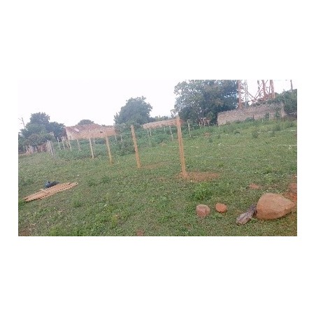 Itapuami -  Dpto. Central, Luque