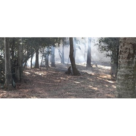 Itagua (Itagua guazu) Lote 8 -  Dpto. Central, Luque