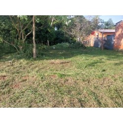 Itagua (Itagua guazu) Lote 8 -  Dpto. Central, Luque