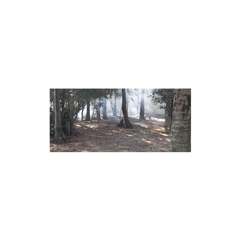 Itagua (Itagua guazu) Lote 11 -  Dpto. Central, Luque