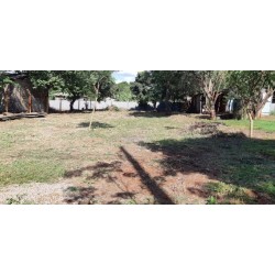 kumandakai - Lote 8 - Manz A