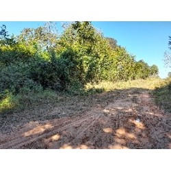 San Pedro del Ykuamandyju -  Dpto. San Pedro