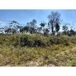 San Pedro del Ykuamandyju -  Dpto. San Pedro