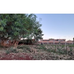 Sto. Domingo Km32 Lote 17 - Manz A